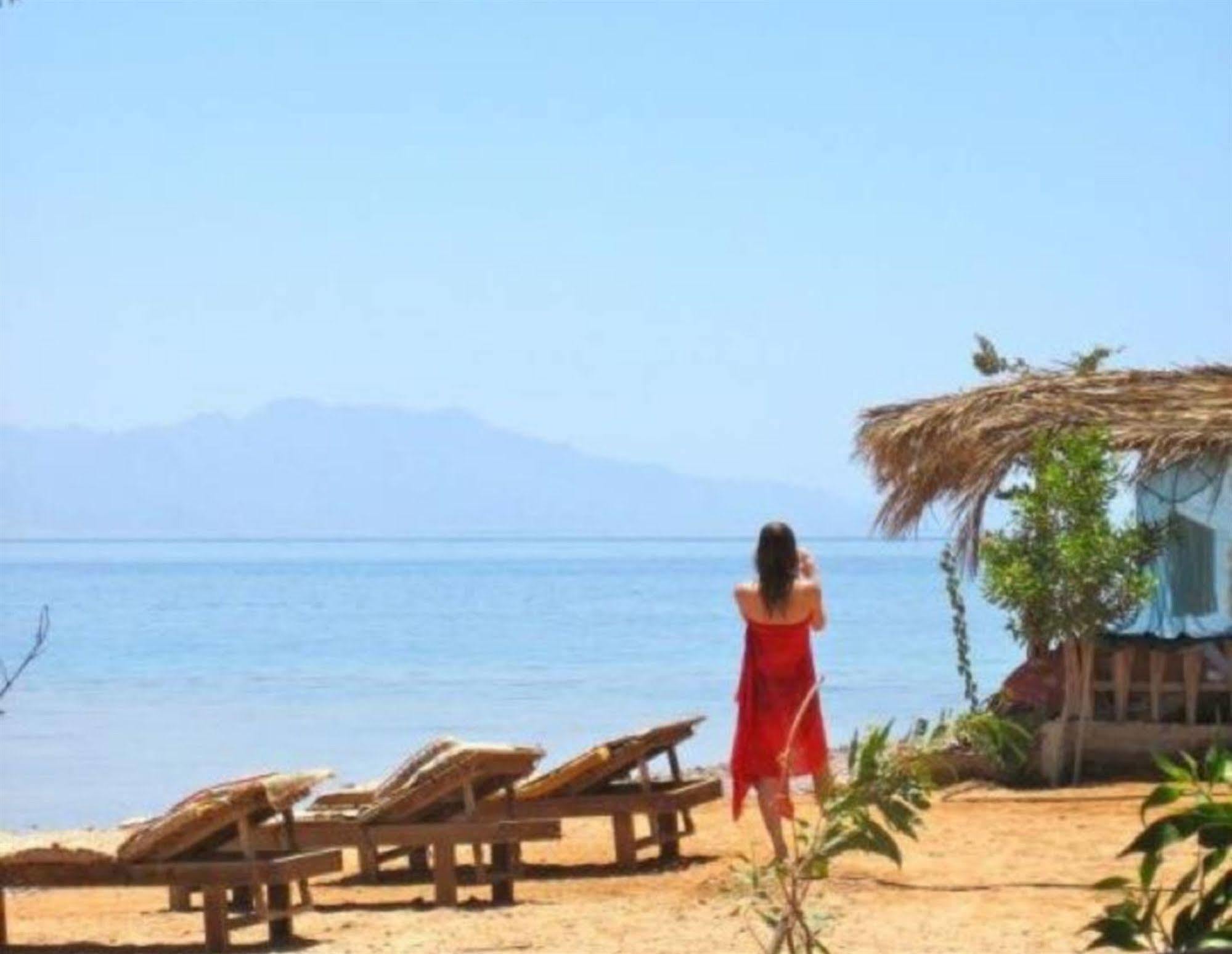 Bedouin Star 4* Taba