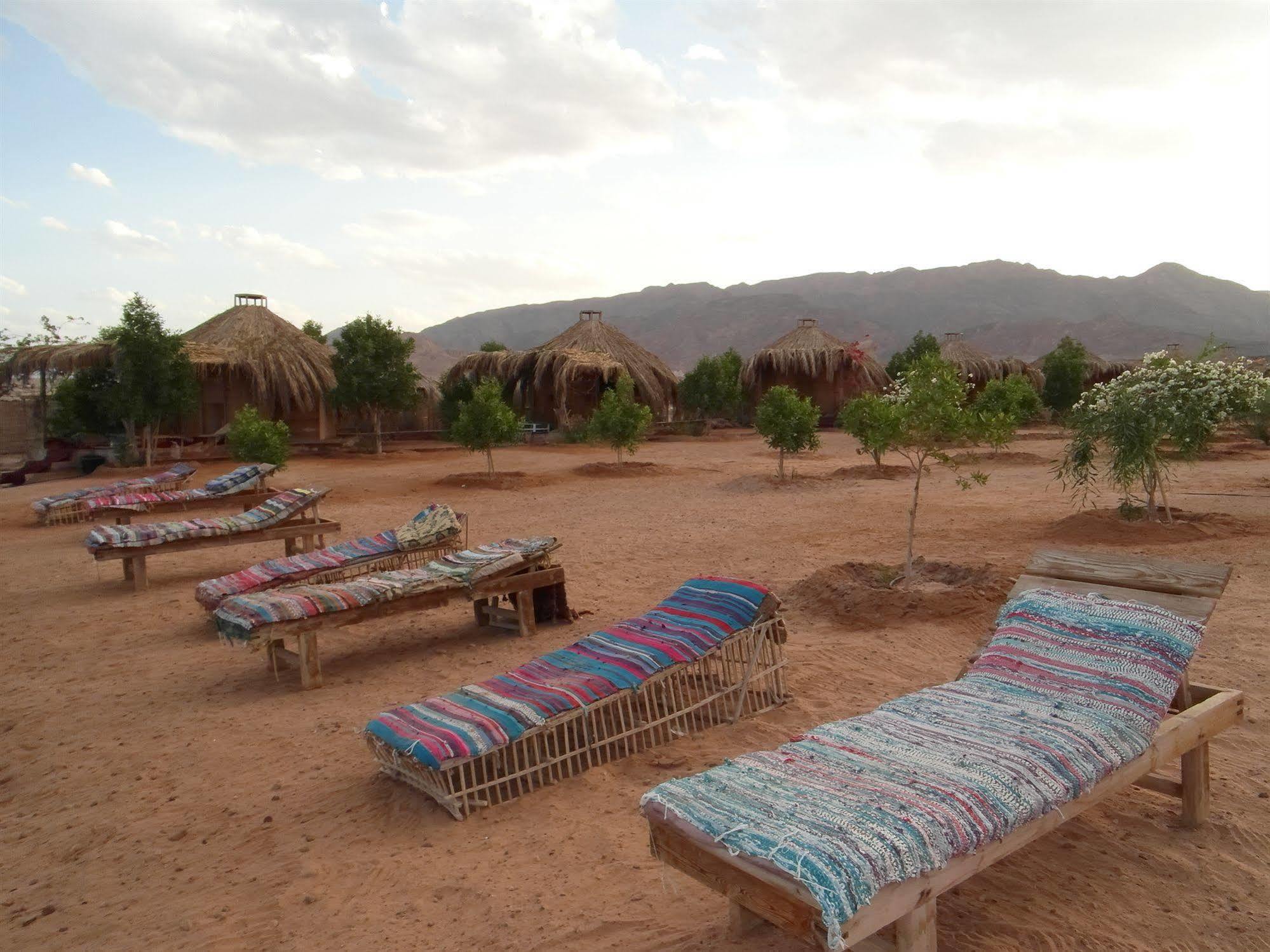 Campsite Bedouin Star