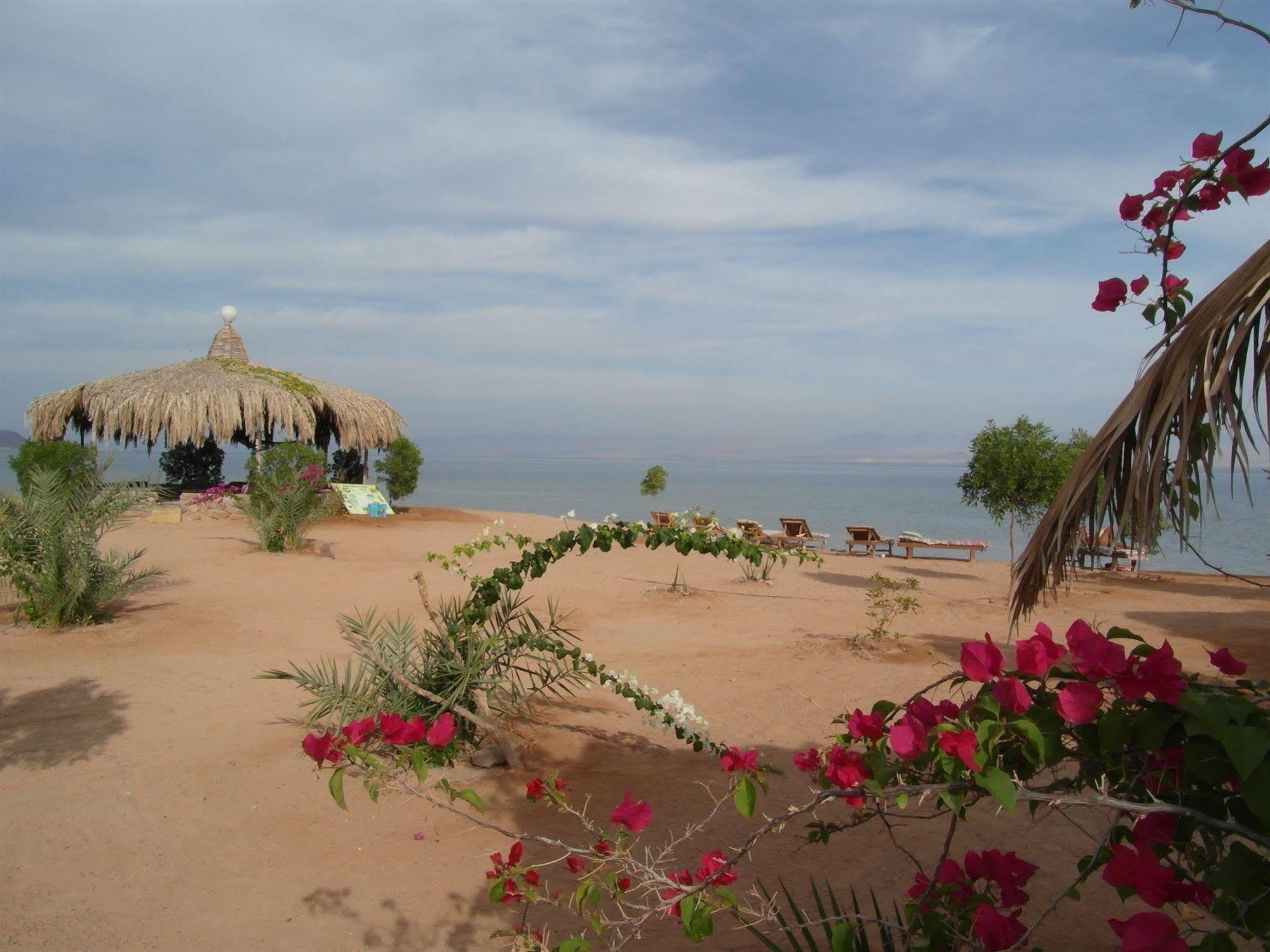 Campsite Bedouin Star Taba