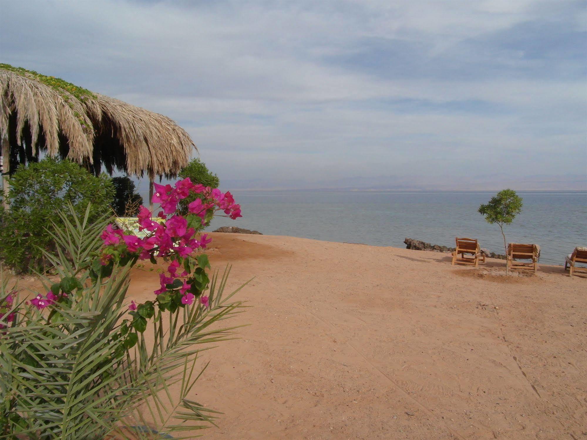 Campsite Bedouin Star