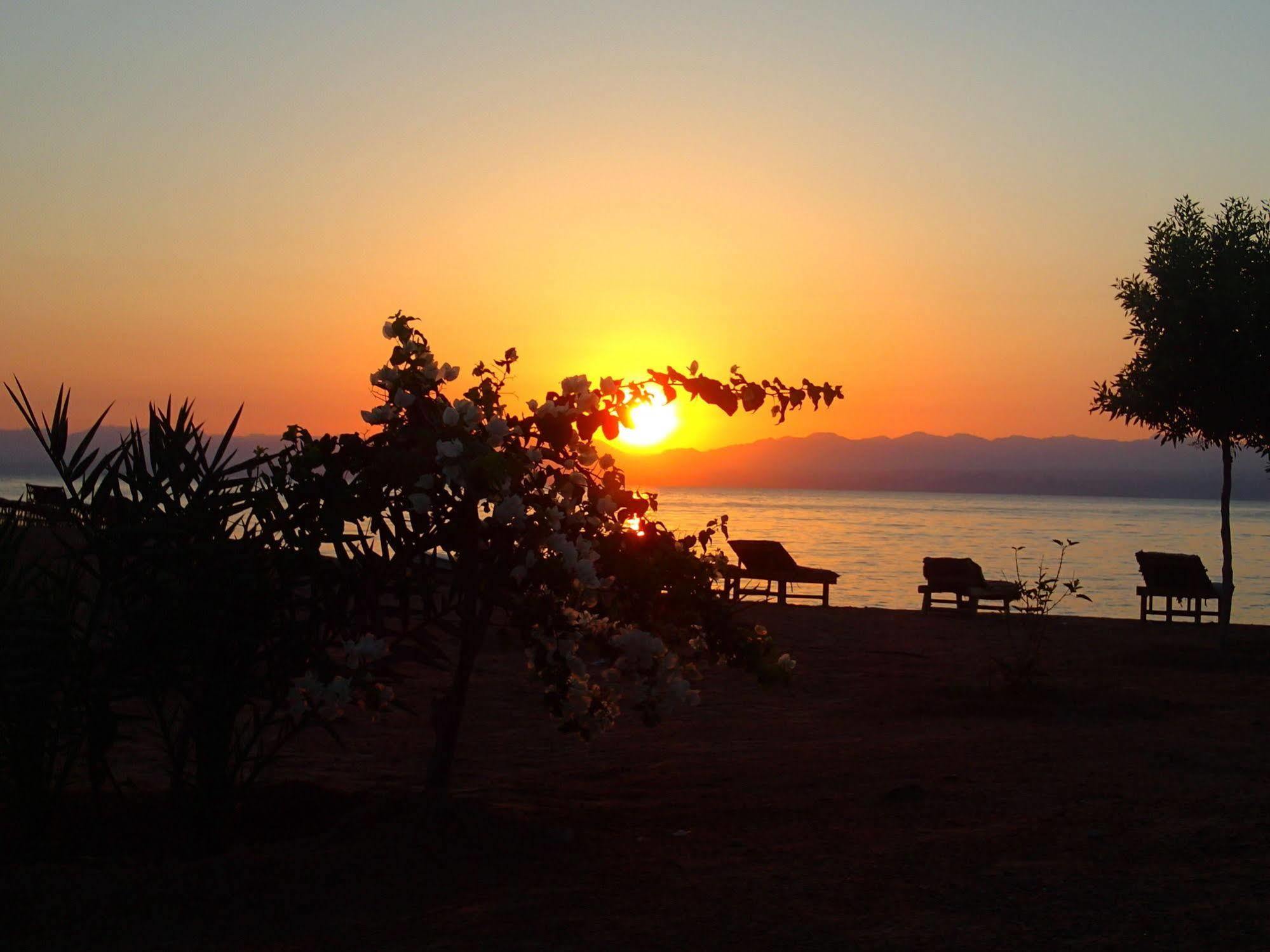 Bedouin Star Campsite 4*