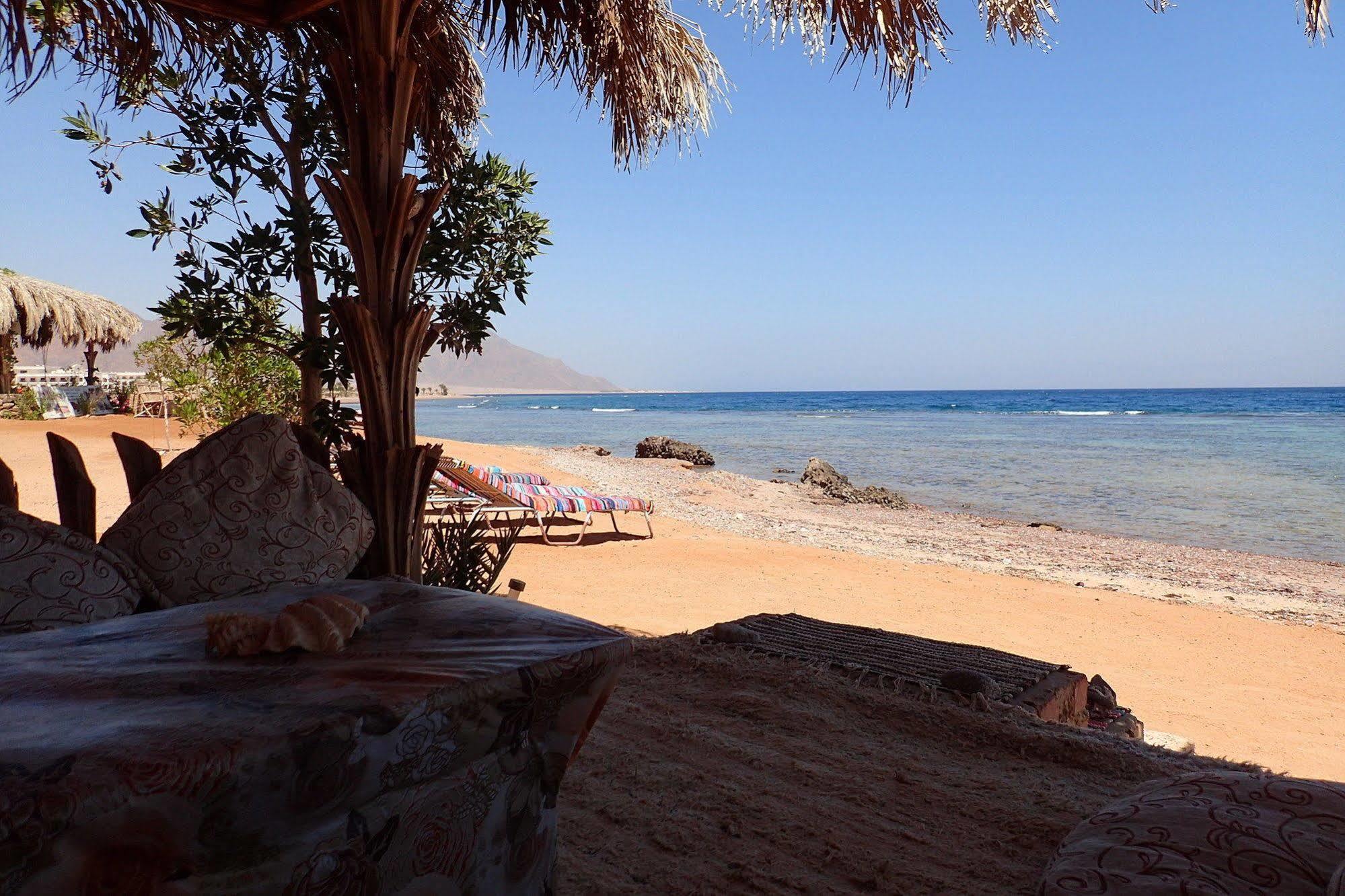 Bedouin Star Campsite