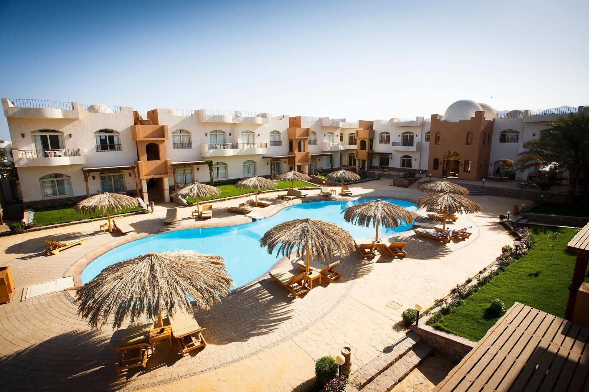 Sheikh Ali 3*