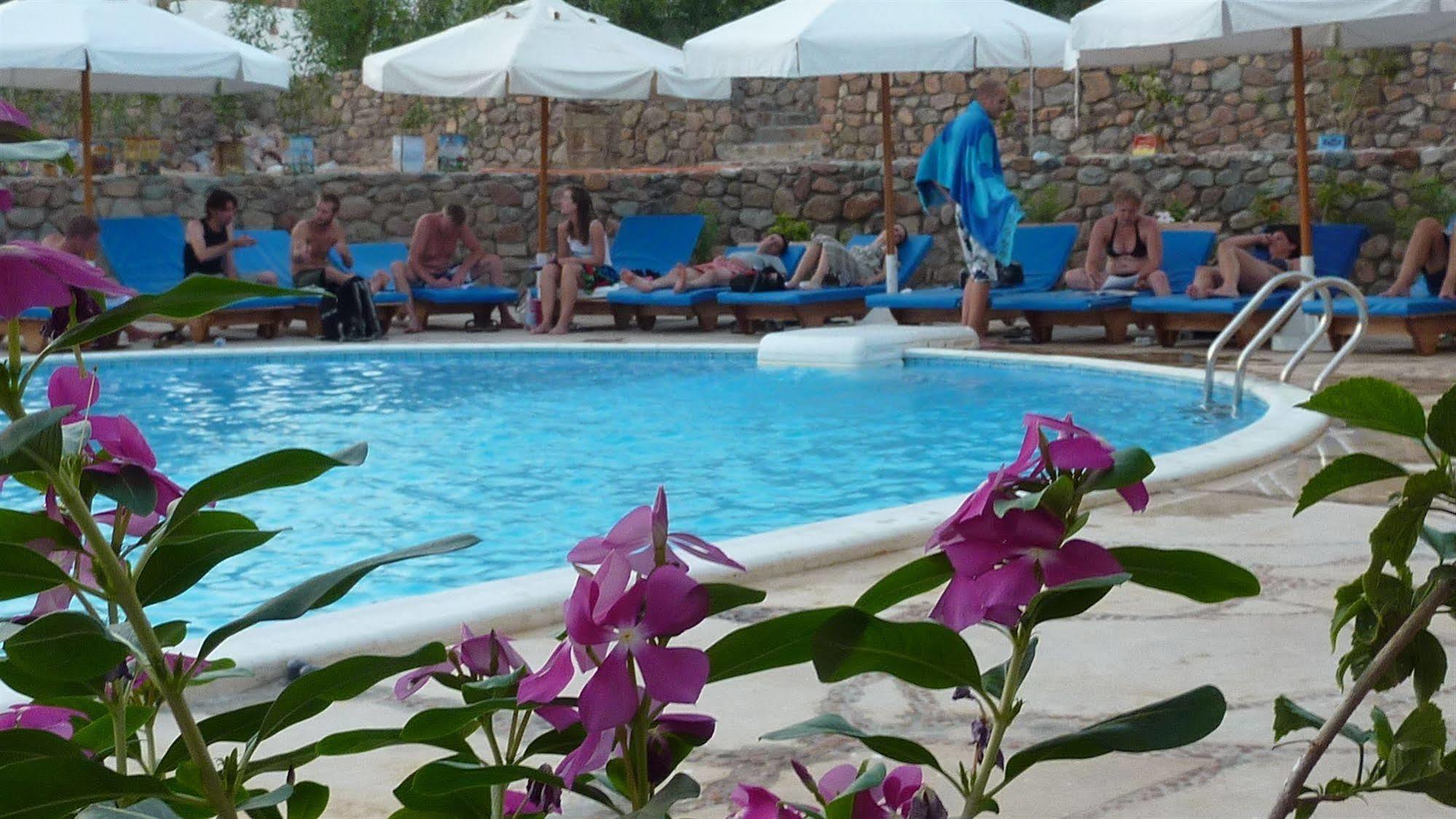 Divers Dahab