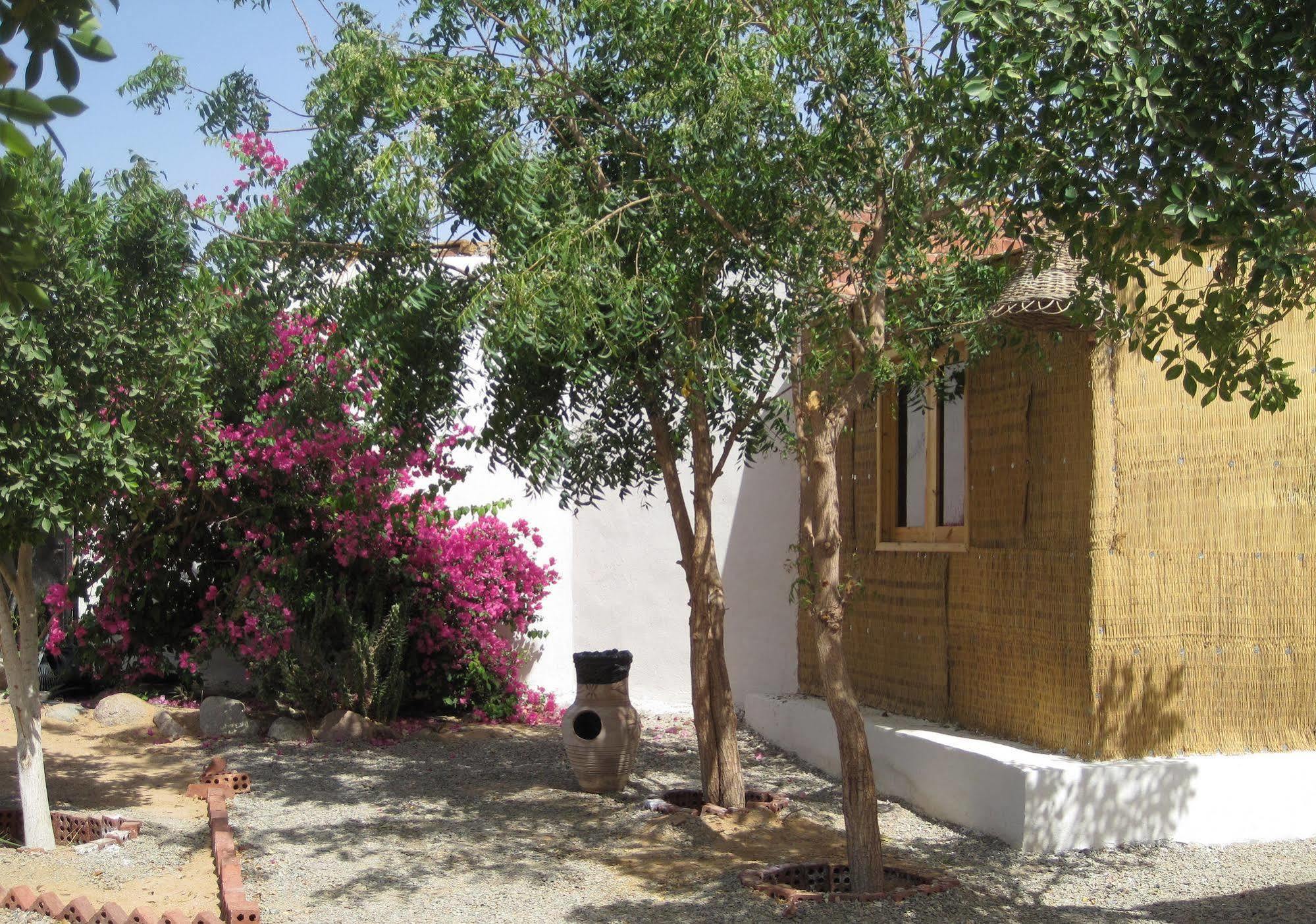 Complex Umbi Sharks Bay Diving Village 3*