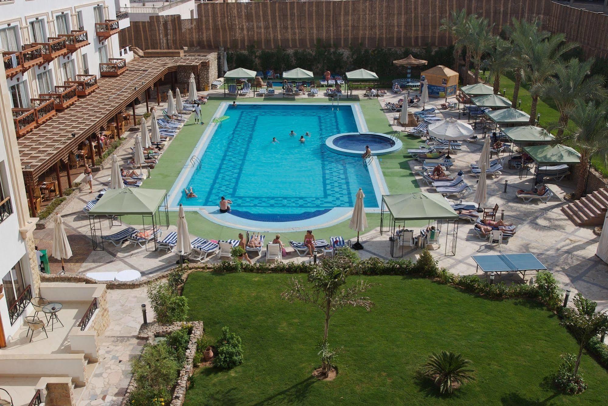 Falcon Naama Star