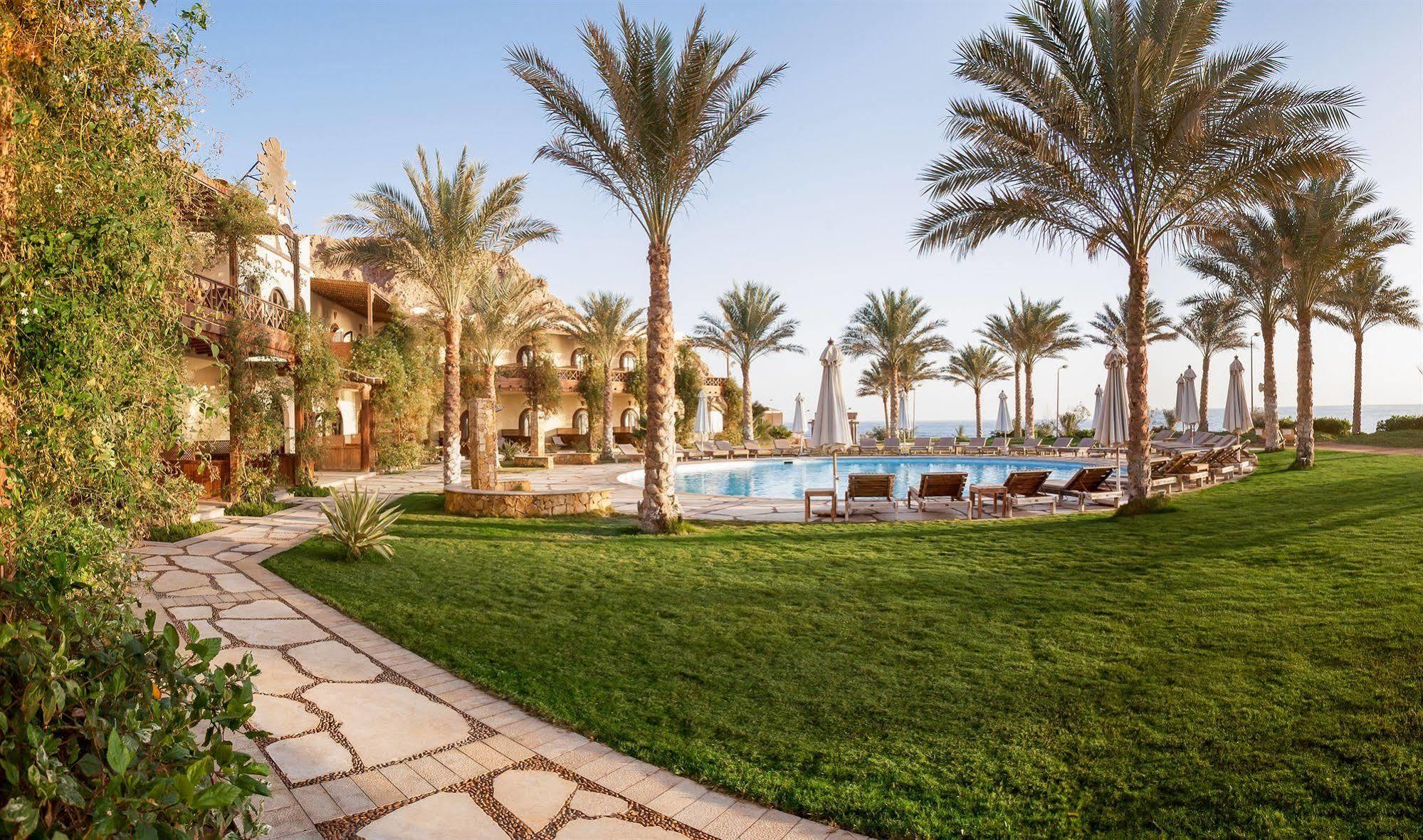 Paradise 3* Dahab