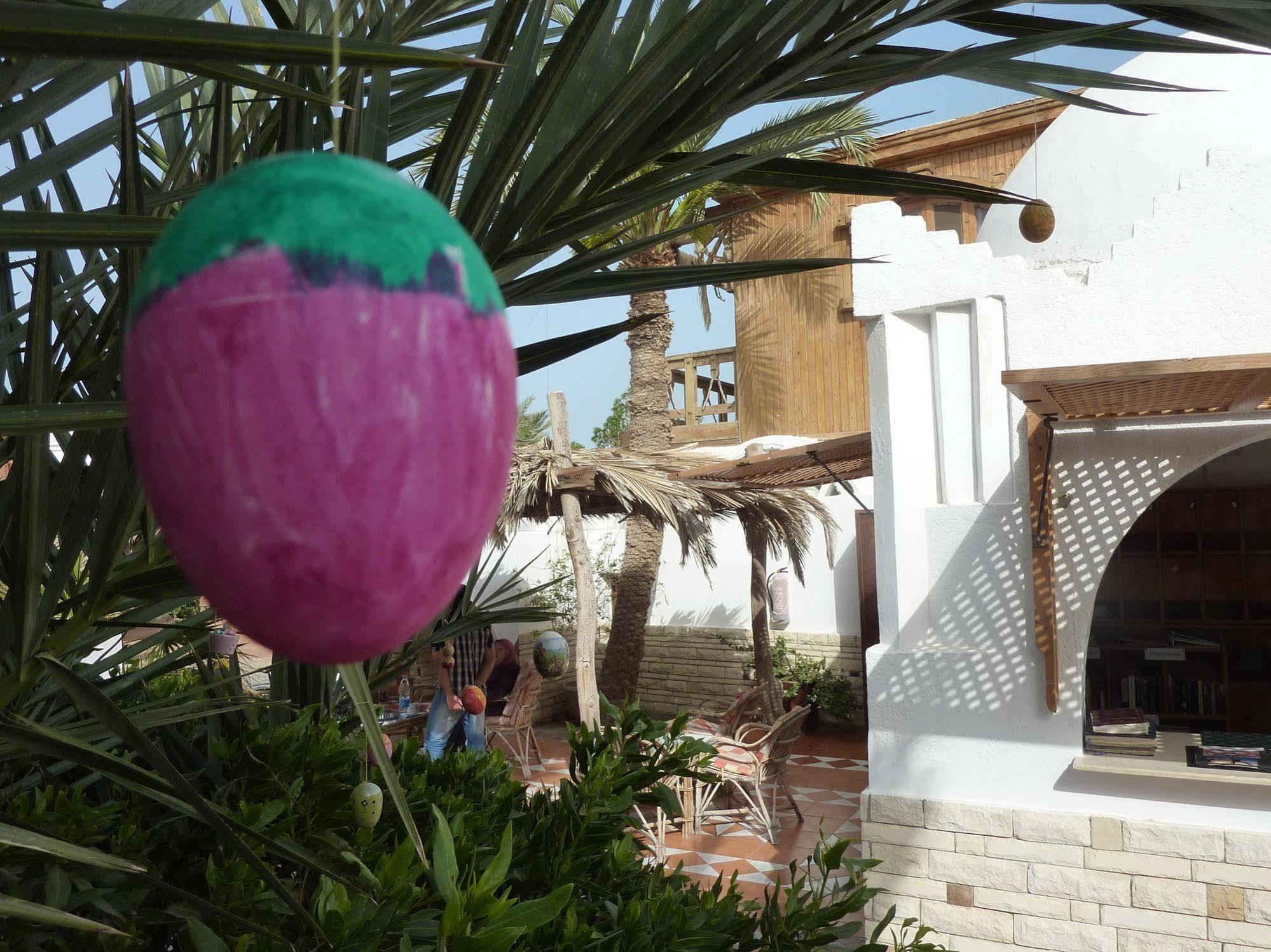Inmo Divers Hotel 3*