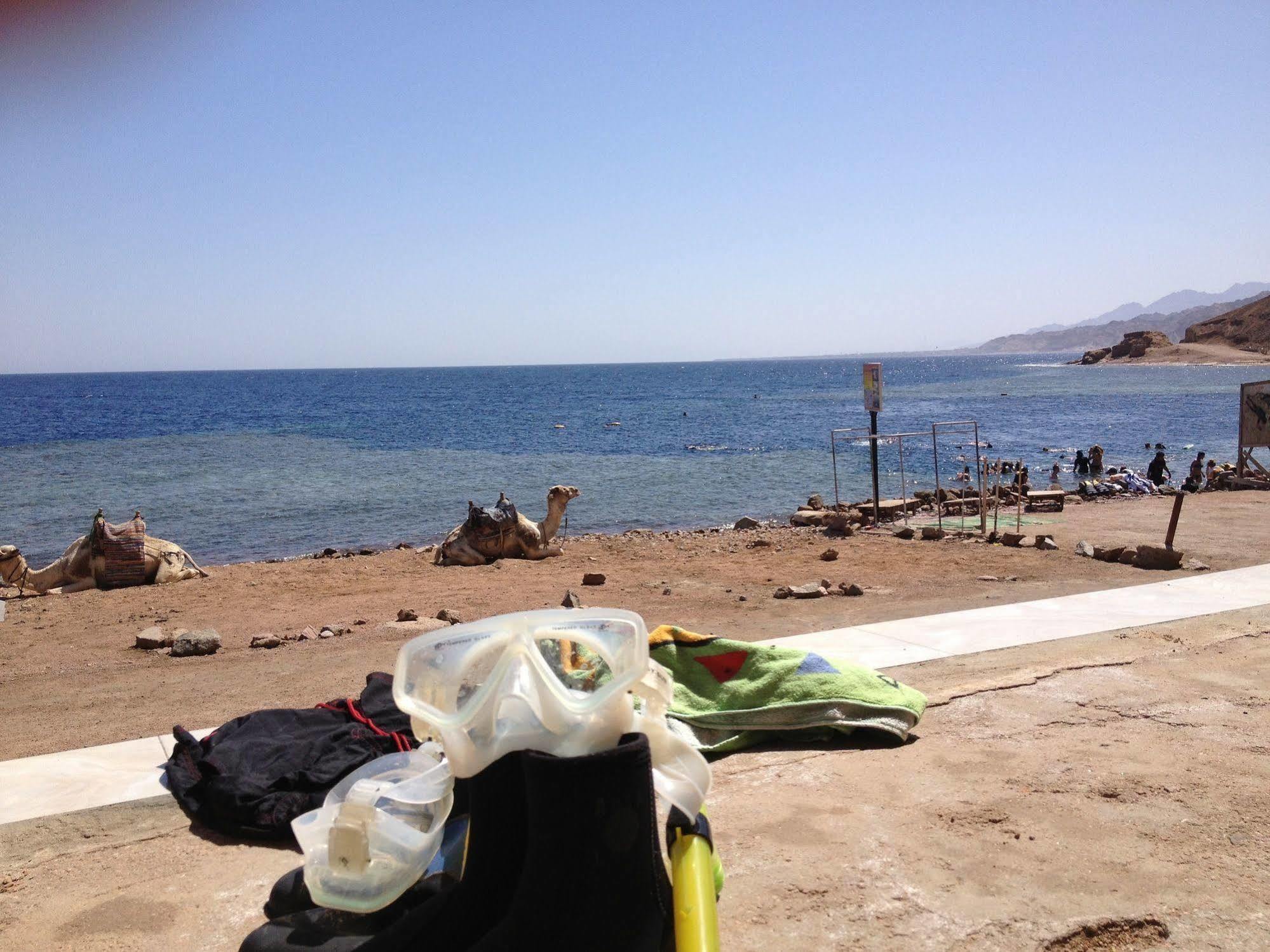 Inmo Divers Dahab