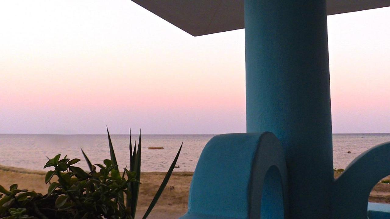 Diving Station - Reef Guest house *