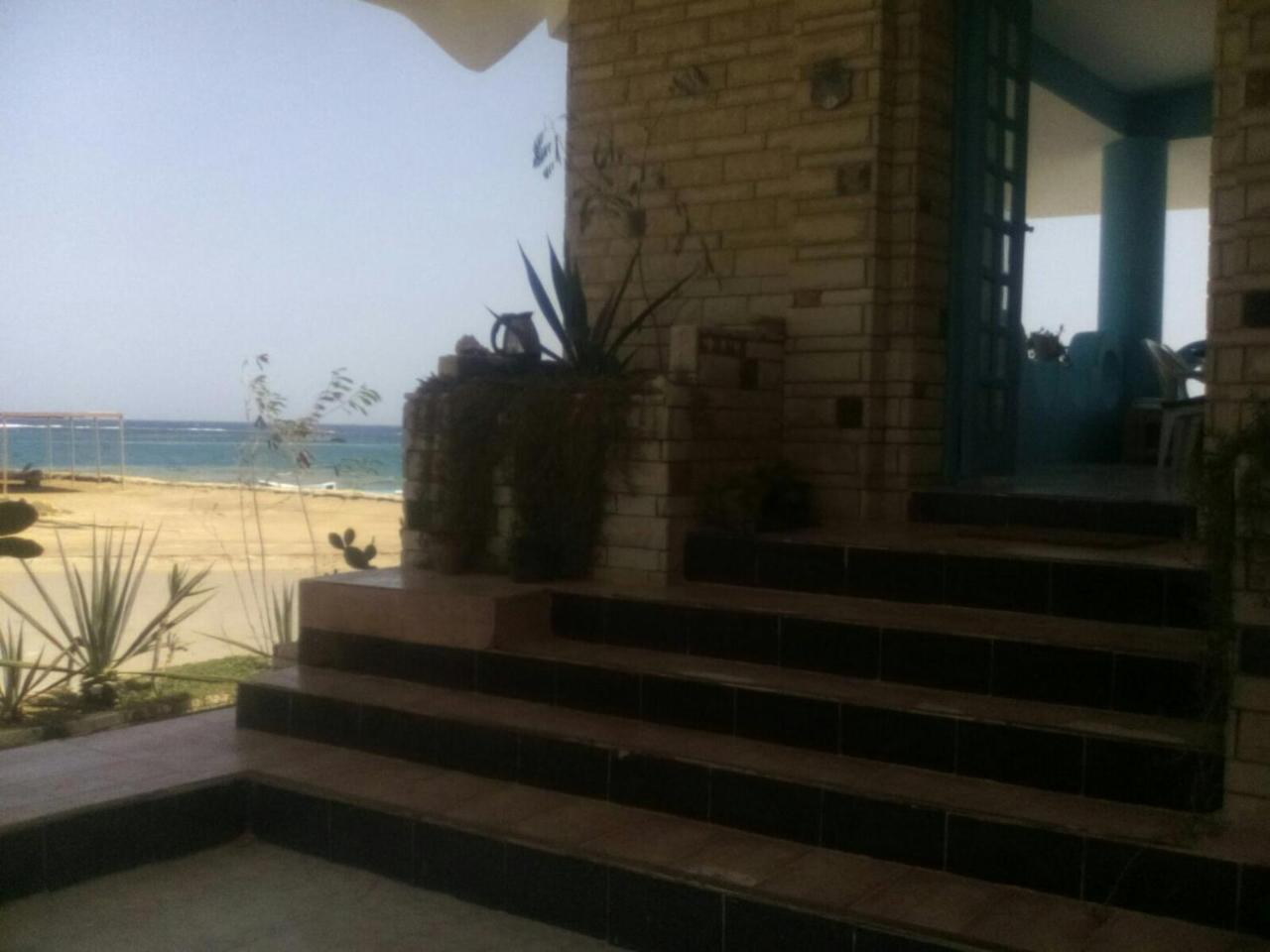 Diving Station - Reef *