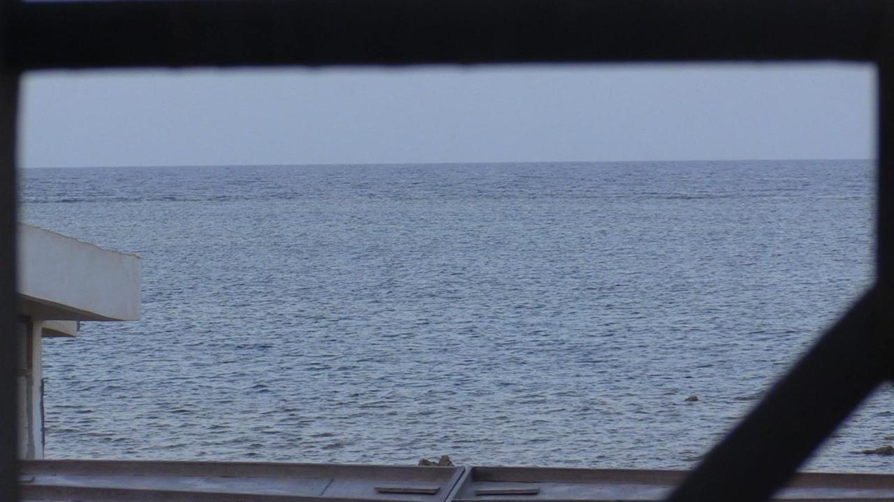Diving Station - Reef *