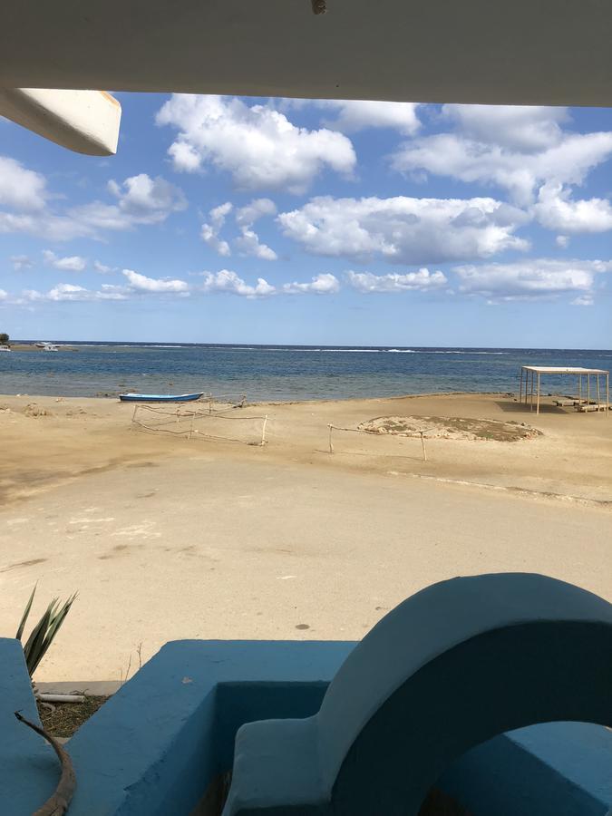 Diving Station - Reef Guest house *