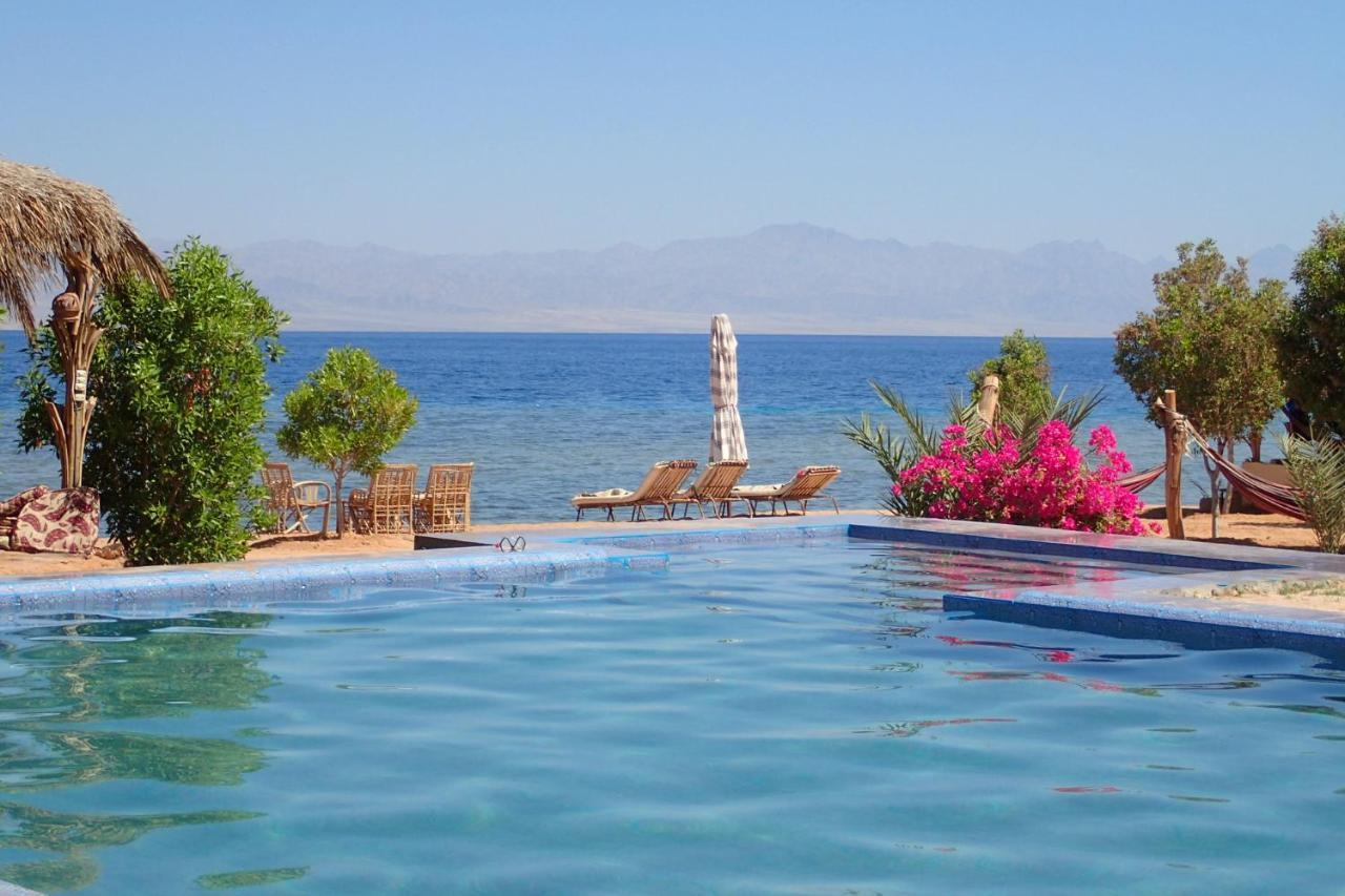 Campsite Bedouin Star 4*