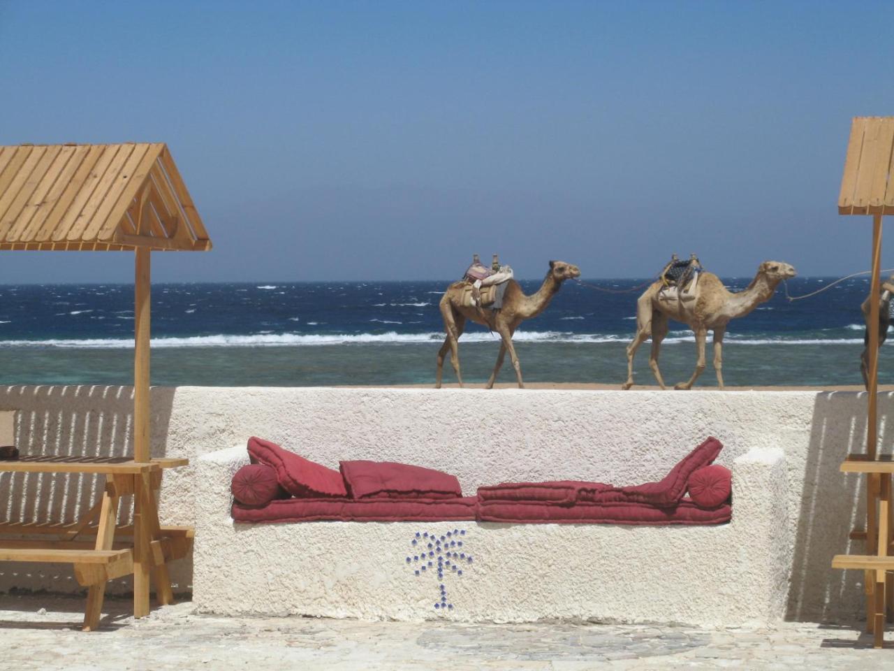 Daniela Diving Resort
