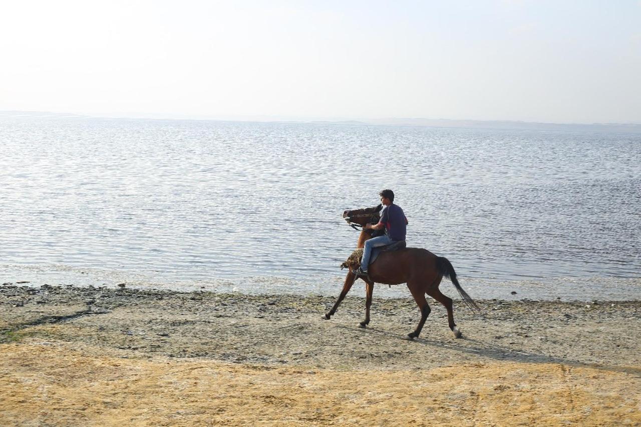 New Panorama Bed & Breakfast Fayoum