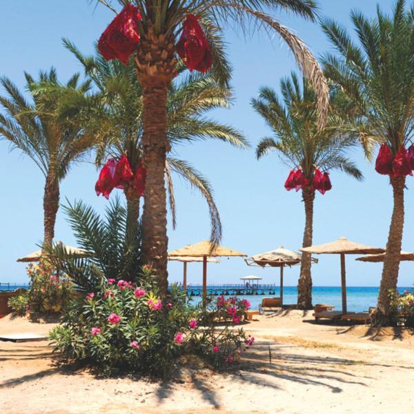 Aparthotel Lillyland Beach Club Hurghada