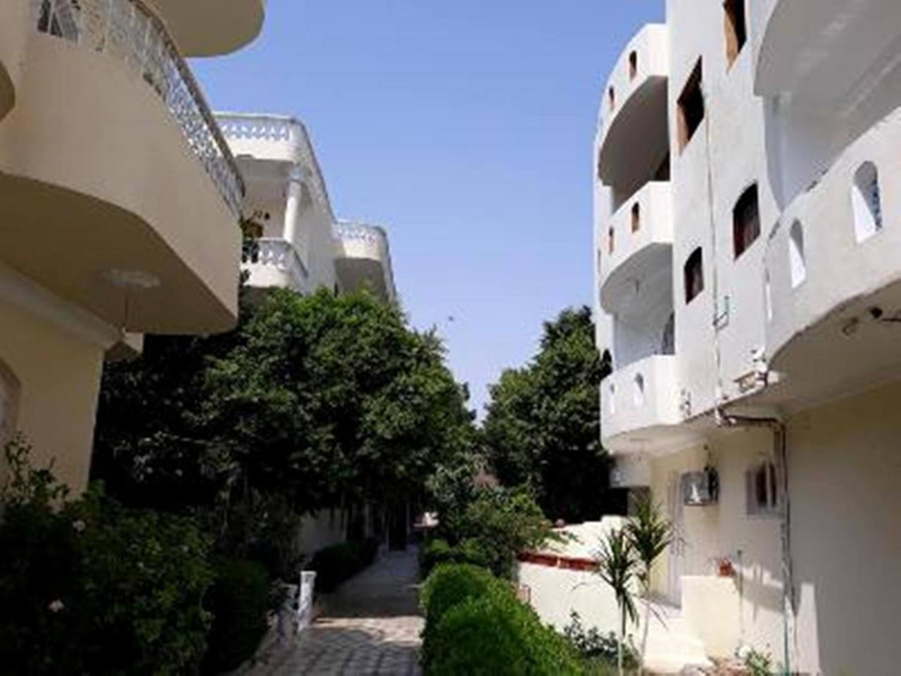 Nile View Hotel Luxor