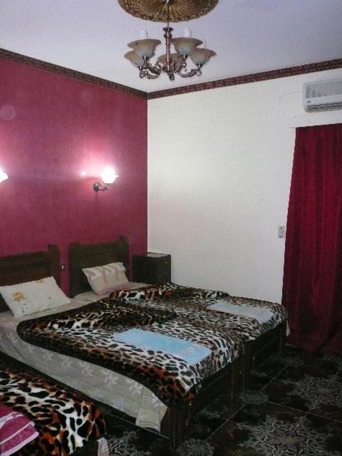 King Tut Hostel *