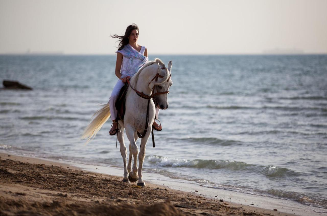 Mousa Coast & Resort