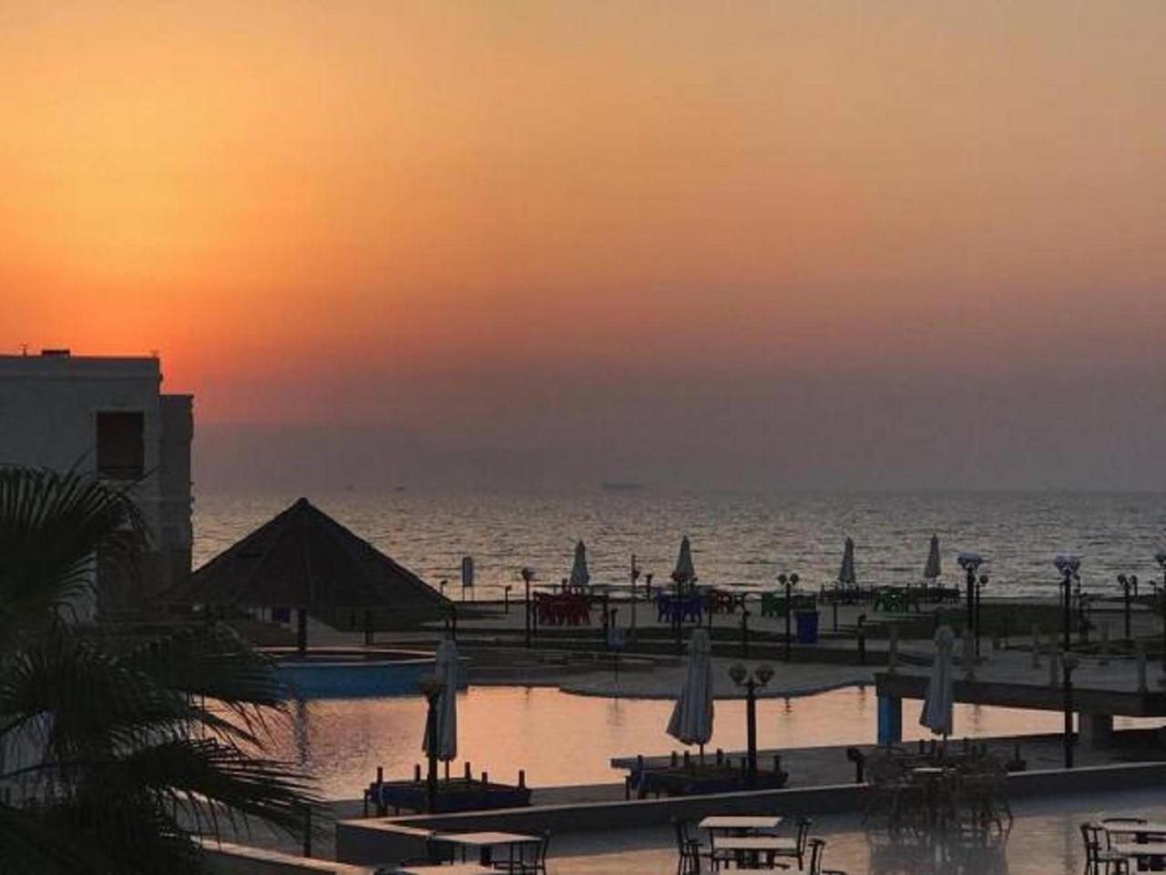 Palm Safari Egypt Complex