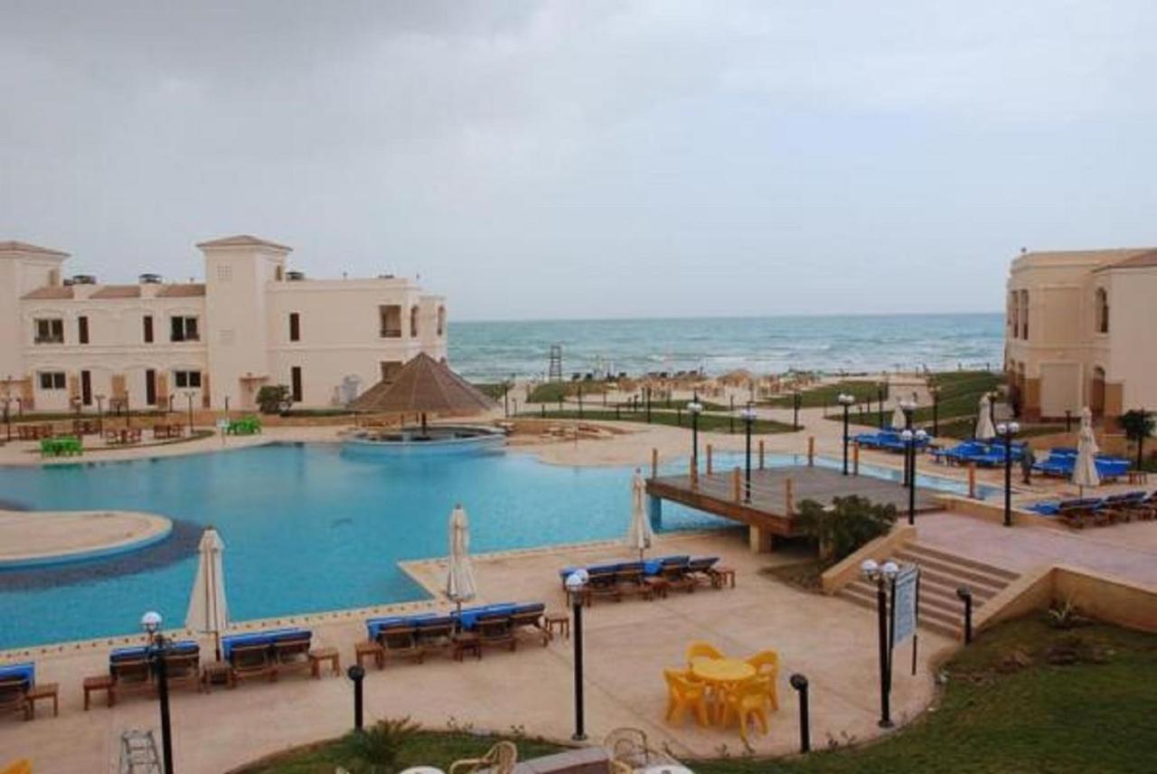 Palm Safari Egypt Ras Sedr