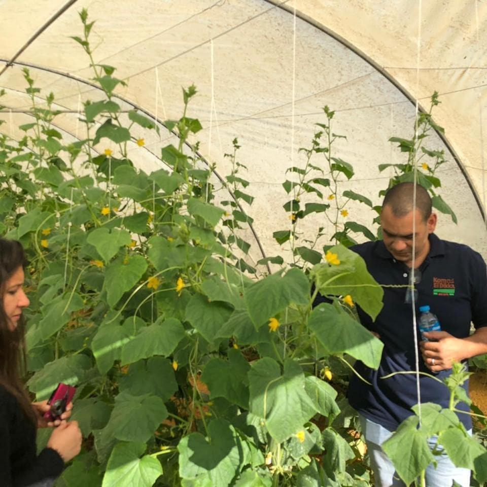 Alojamento El Dikka Agri