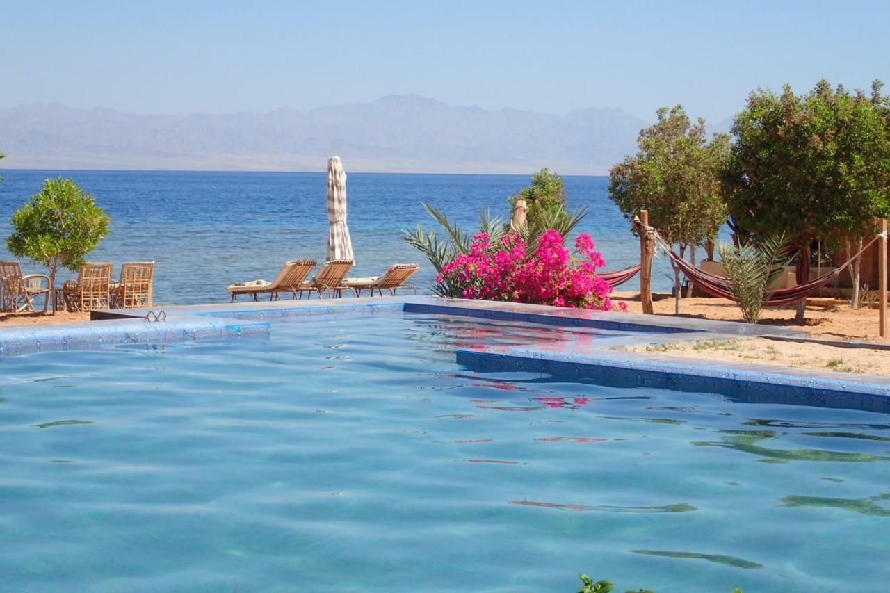 Bedouin Star 4*