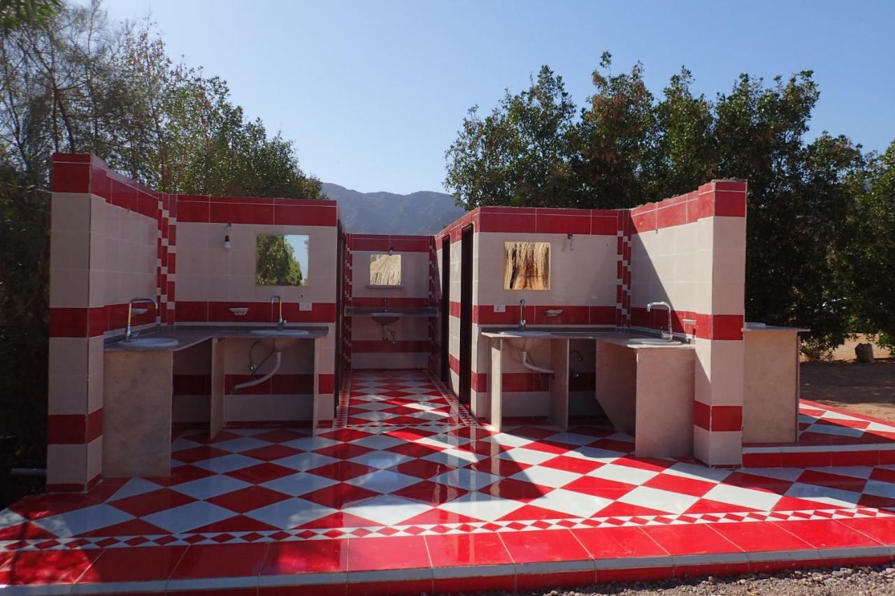 Campsite Bedouin Star 4*