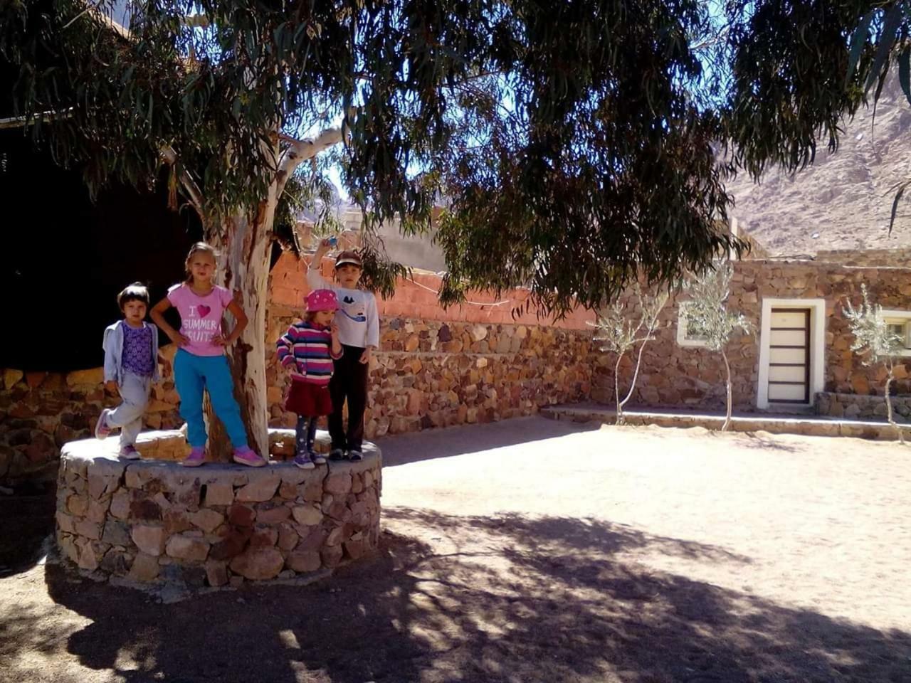 Sheikh Mousa Bedouin Camp Complex 3*