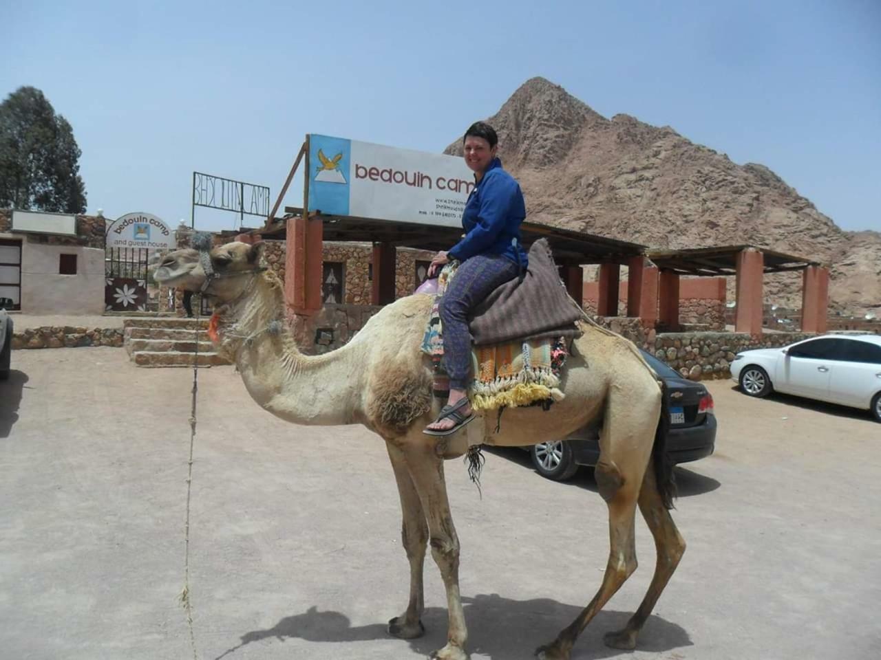Sheikh Mousa Bedouin Camp Resort 3*