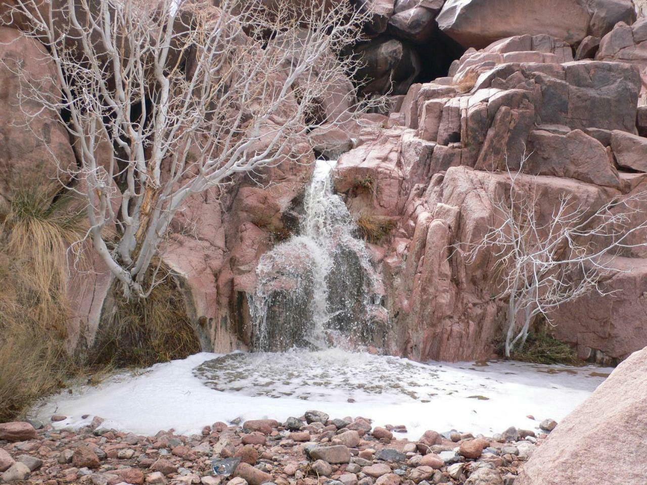 Sheikh Mousa Bedouin Camp 3*