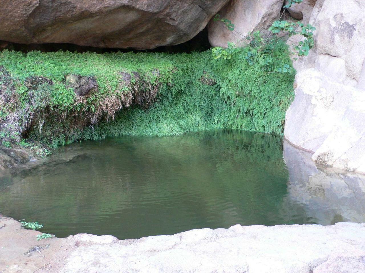 Sheikh Mousa Bedouin Camp Complex