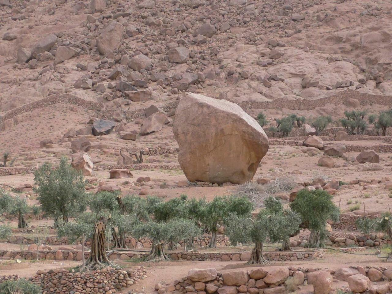 Sheikh Mousa Bedouin Camp 3*