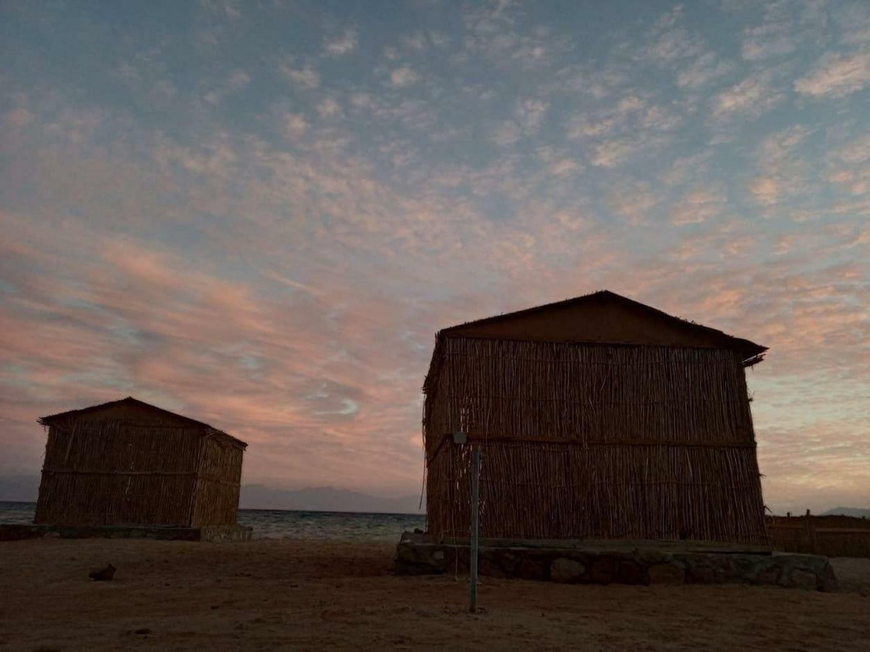 La Commune Camp * Nuweiba