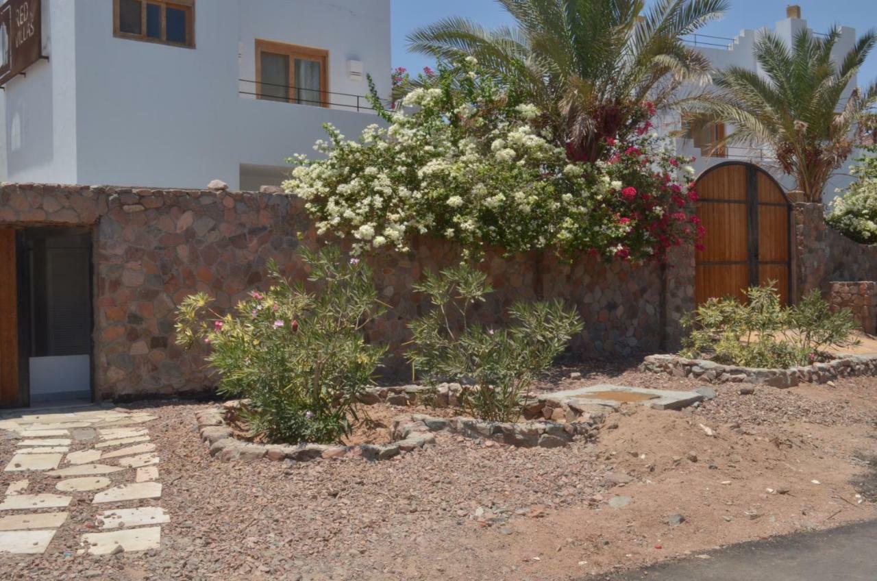 Red C Villa Dahab