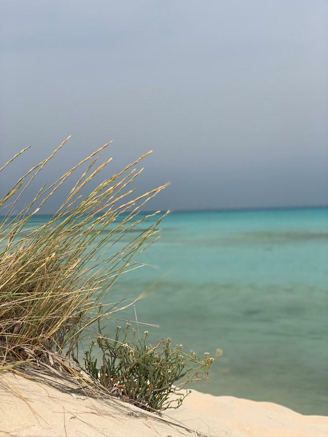 Marassi North Coast