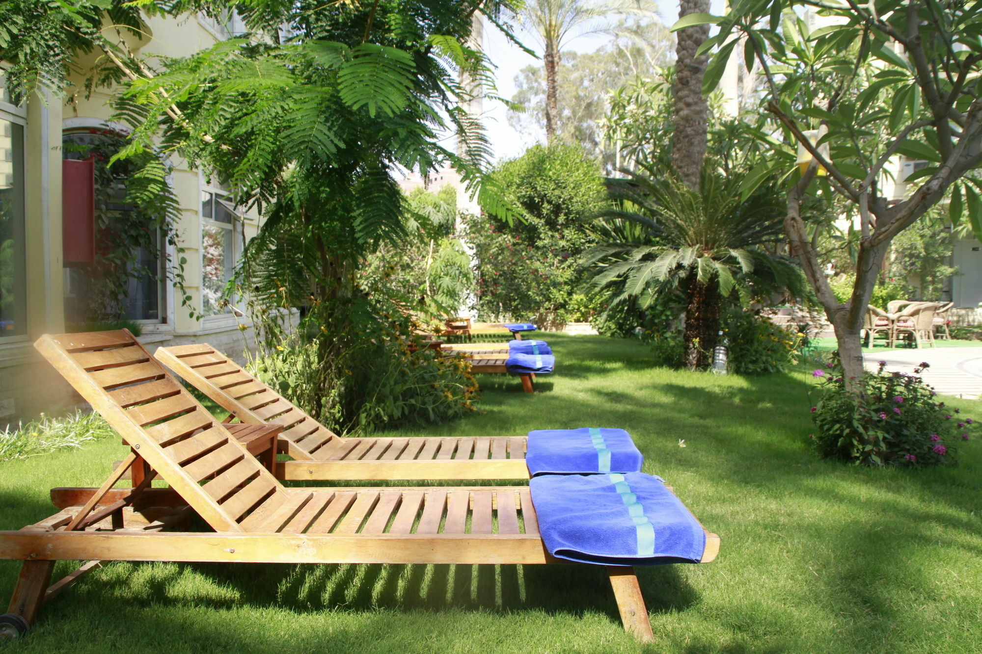 Soluxe Cairo Kafr Ghatati