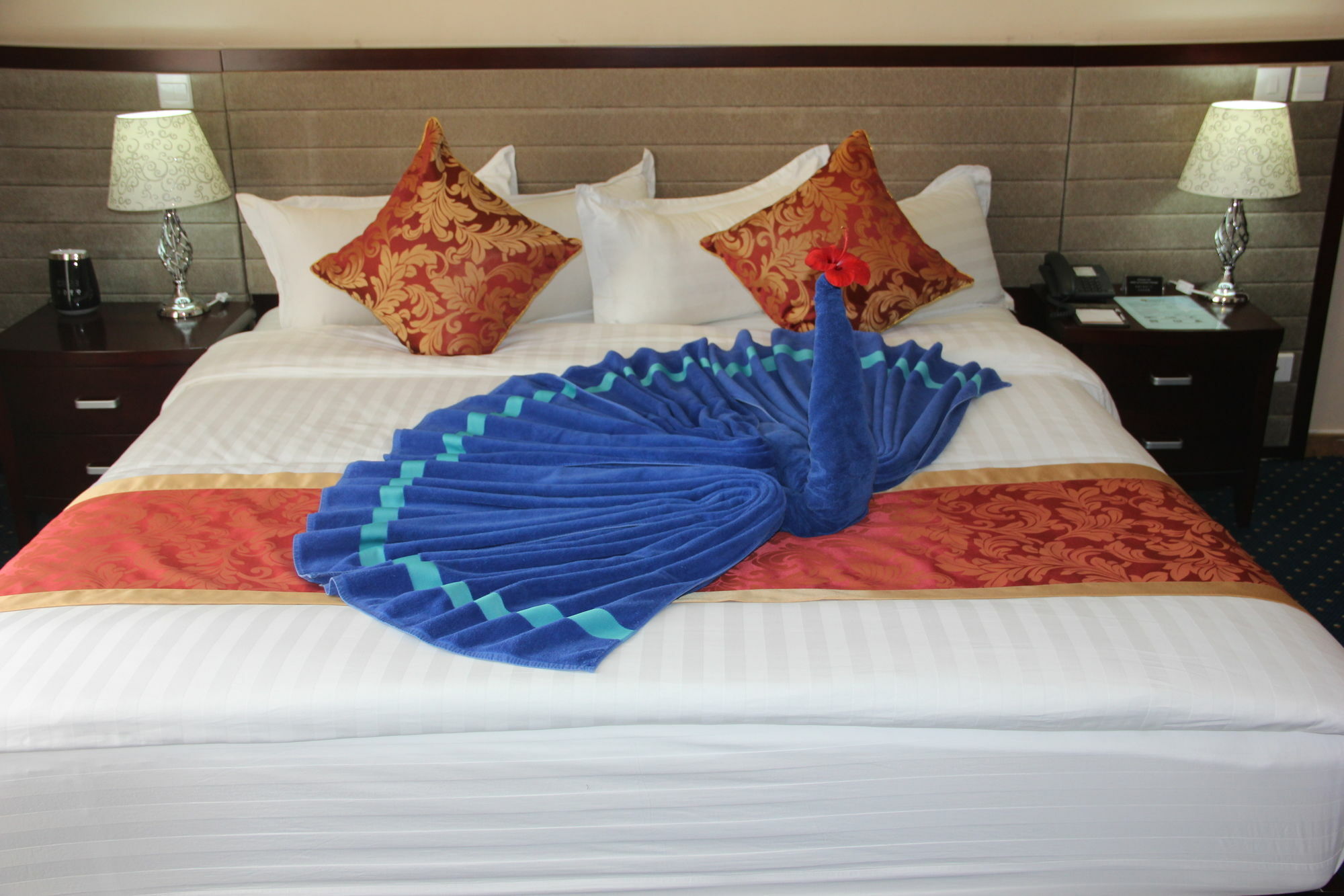 Soluxe Cairo Otel