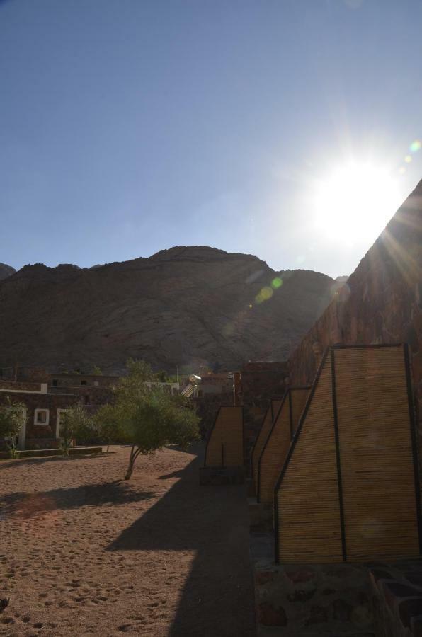 Sheikh Mousa Bedouin Camp Complex Saint Catherine