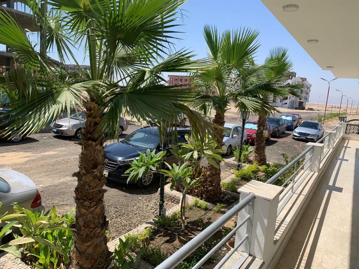 Aqua Palms