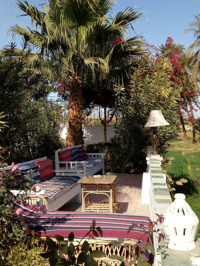Nile View Hotel