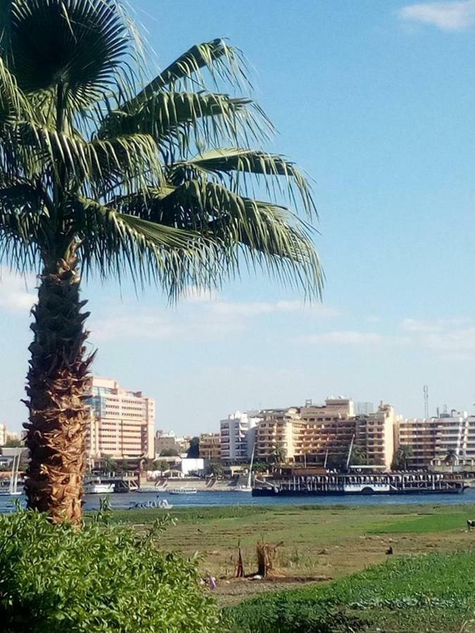 Nile View