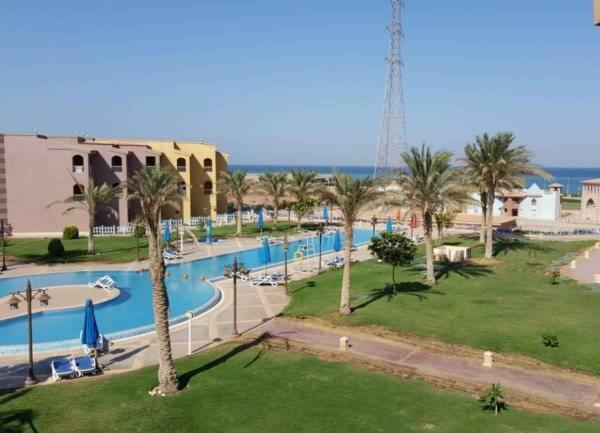 Apartment Special In Porto South Families