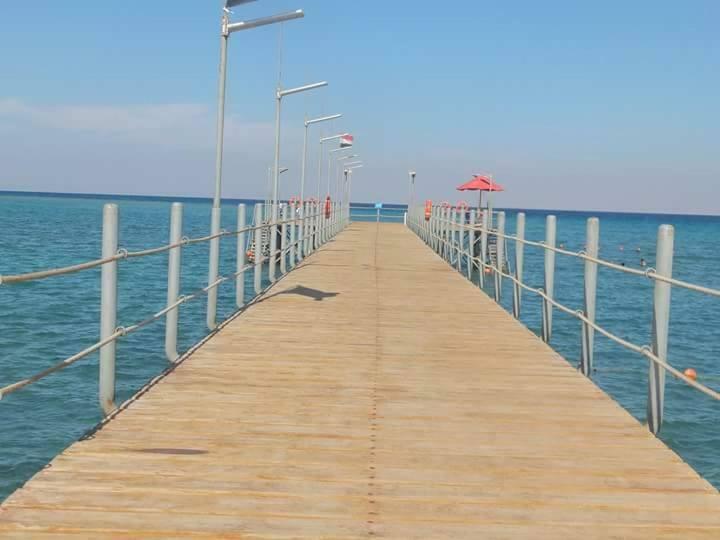Apartment Special In Porto South Families *