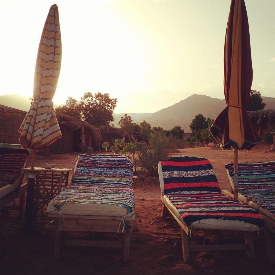 Bedouin Star Taba