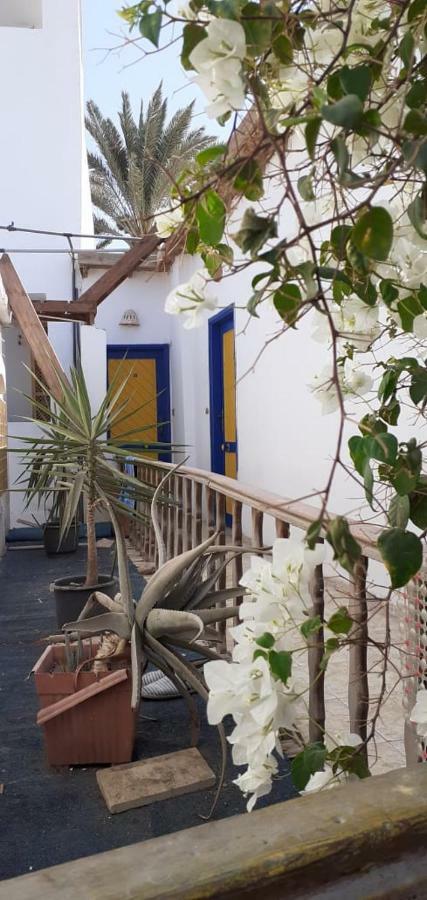 Neptune Hostel Dahab