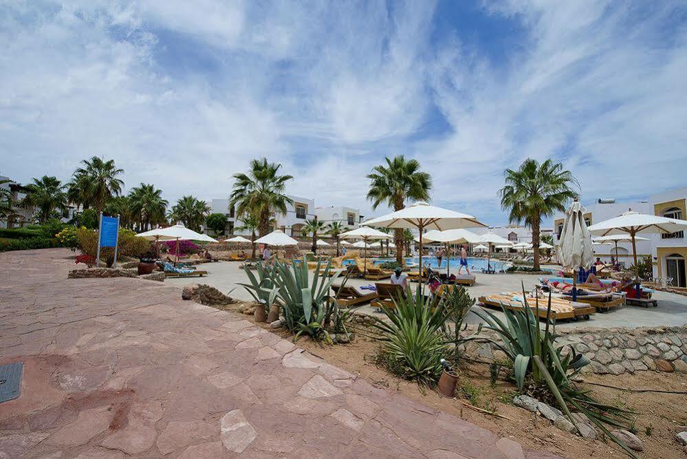 Amphoras Blu Resort