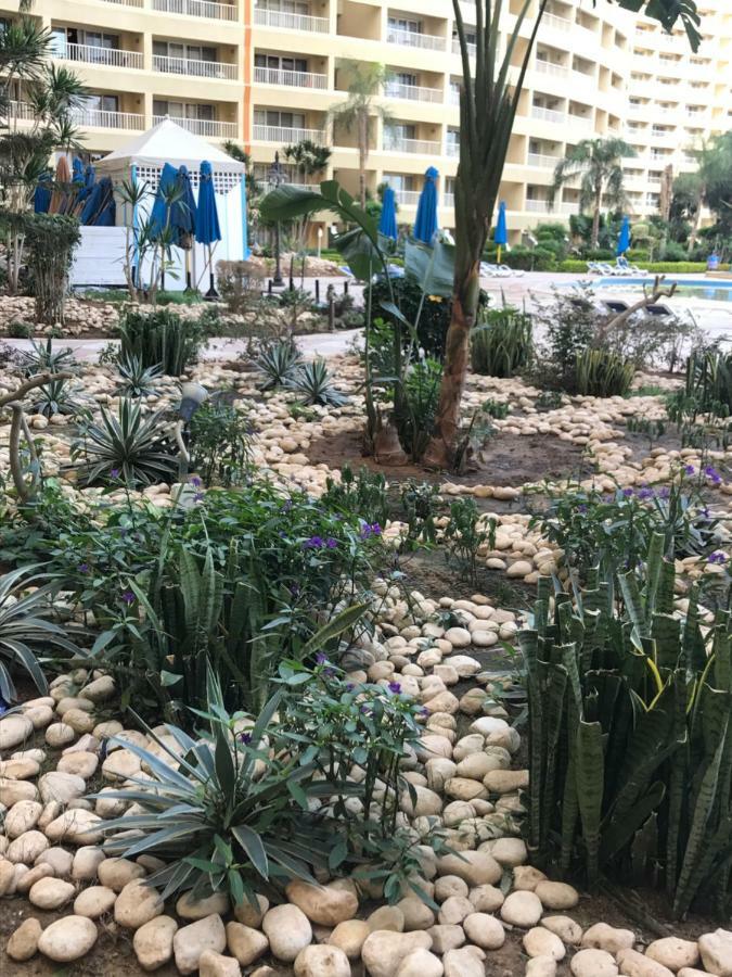 Chalet In Porto Sokhna - Pyramids - Families Only *