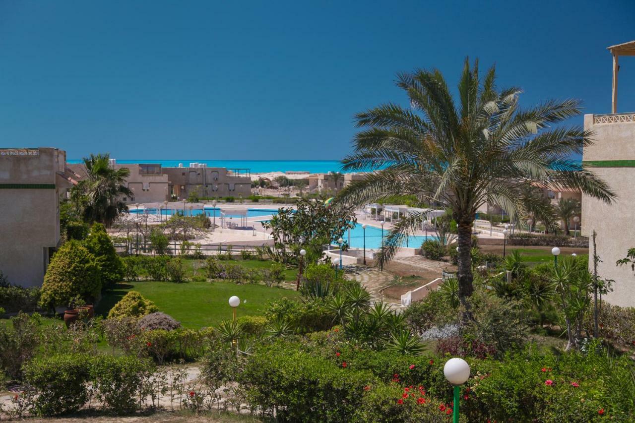 Villas Petro El Alamein